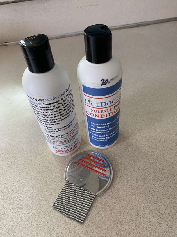 Thousand Oaks, California Lice Treatment & Lice Removal Service